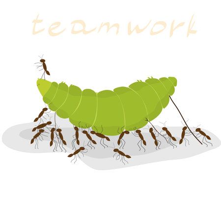many ants dragging a green caterpillar on a white background, inscription teamworkのイラスト素材