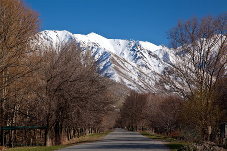 Spring mountain landscapeの写真素材