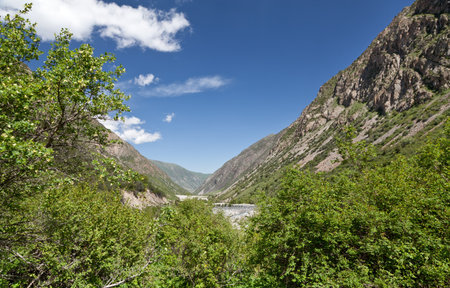 Mountain landscape. Belagorka Gorge, Kyrgyzstanの写真素材