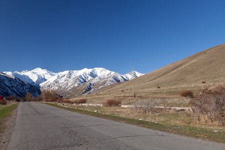 Landscape of mountains, roadsの写真素材