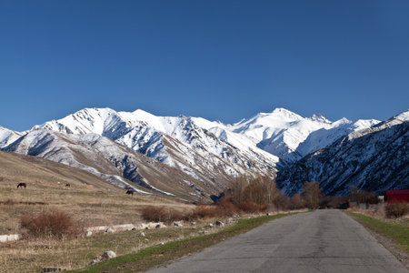 Landscape of mountains, roadsの写真素材