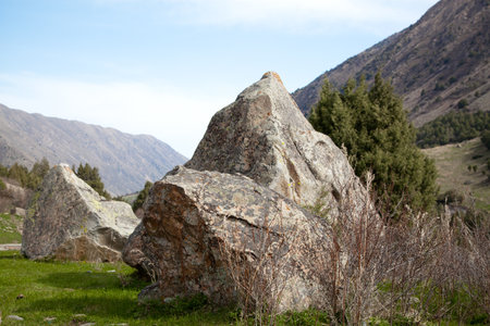 Mountain landscape. Ala-Archa, Kyrgyzstanの写真素材