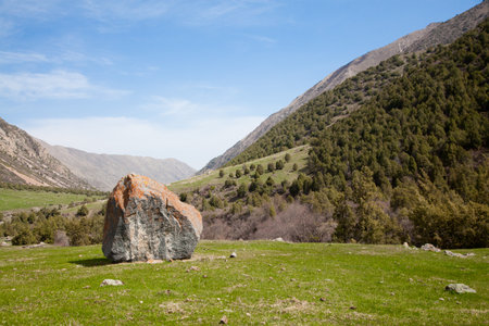 Mountain landscape. Ala-Archa, Kyrgyzstanの写真素材