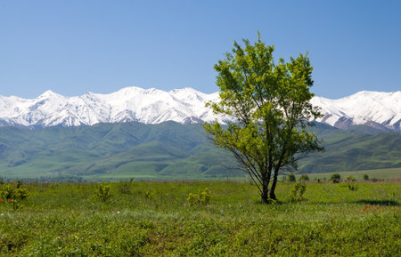 Mountain landscape  Tokmok, Kyrgyzstanの写真素材