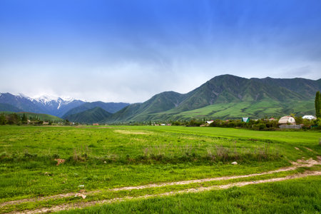Asia landscape. Kyrgyzstan, Baitikの写真素材