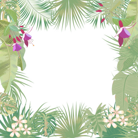Vector tropical jungle banner, frame with palm trees, flowers and leaves on white background for wedding,quotes, Birthday and invitation cards,greeting cards, print, blogs, bridal cards.のイラスト素材