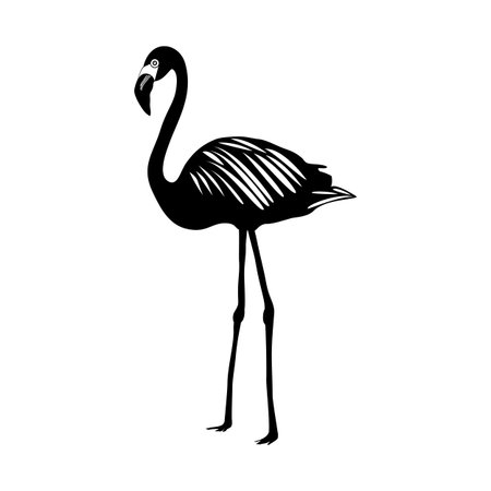 Flamingo silhouettes on white background, exotic bird, vector illustrationのイラスト素材