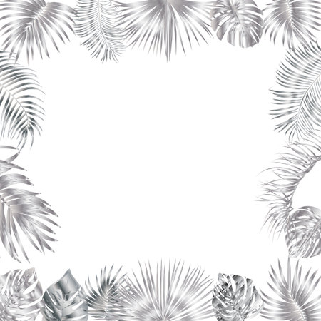Vector tropical jungle frame with silver palm trees and leaves on white background for wedding,quotes, Birthday and invitation cards,greeting cards, print, blogs, bridal cards.のイラスト素材