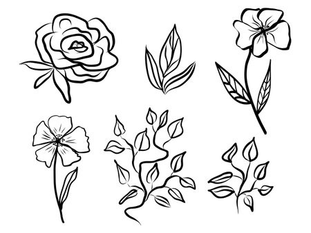 Set of abstract flower and leaves. Hand drawn line-art. Contour black drawing, botanical element. Vector illustration for greeting cards and invitations, isolate on white background.のイラスト素材