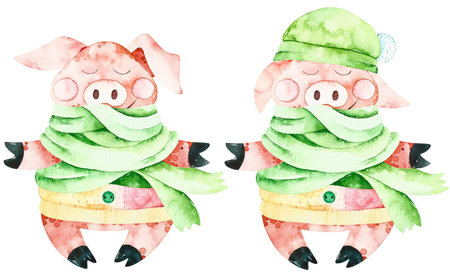 Watercolor christmas cute pigs. Handpainted watercolor winter elements. Perfect for you postcard design, wallpaper, print, invitations, packaging, etc.の写真素材