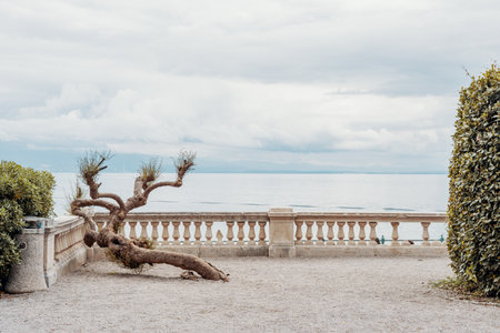 Viewpoint (with a balcony and a dry plant) with wide view to the bay of Rijeka on the Adriatic Sea. Opatija, Croatia, Europe. No people with copy space aboveの写真素材