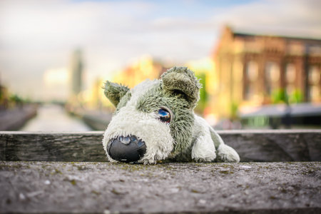 Puppy toy I want to travel around Europeの写真素材