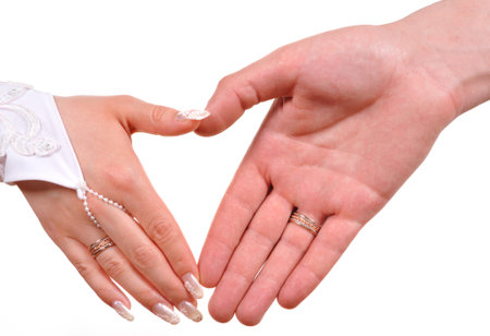 Tiger with bared fangsの写真素材