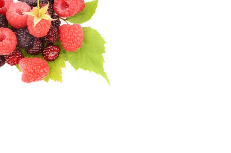 Sweet fresh raspberry fruit with green leaf