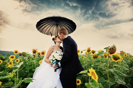 Happy bride and groom on green field with yellow sunflowersの写真素材