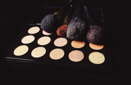 professional cosmetics for make up on black backgroundの写真素材