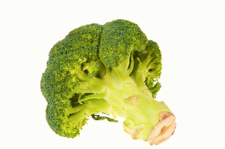 broccoli isolated on whiteの写真素材