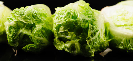 Fresh green salad on the black backgroundの写真素材