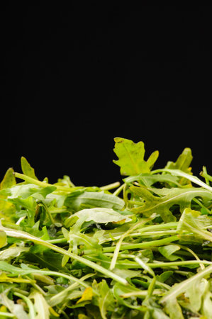 Arugula (salad) on black backgroundの写真素材