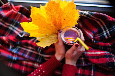 Autumn mulled wineの写真素材