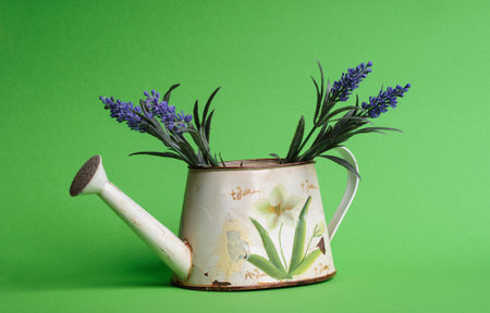 watering can with flowers on the green backgroundの写真素材