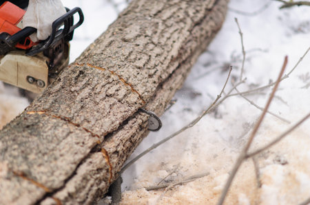Close-up of woodcutter sawing chainsaw in motion, sawdust fly to sides. wood felling, deforestation.