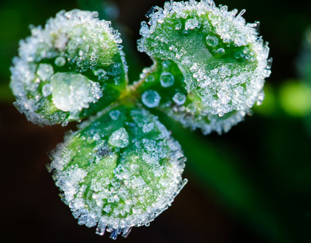 Autumn trees against skyの写真素材