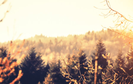 Sunny autumn day. Landscape in mountainsの写真素材