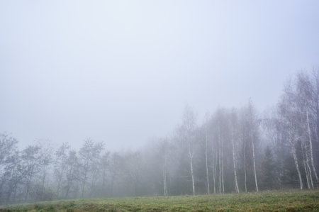 Foggy autumn landscape in mountainsの写真素材