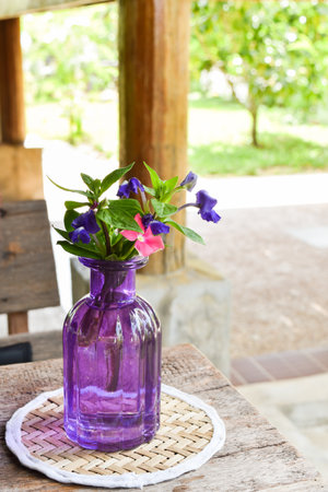 Close-up Flower pots placed on a wooden tableの写真素材