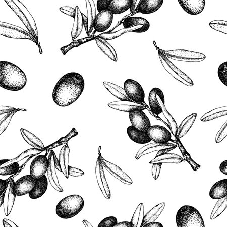 Seamless pattern of black and green olives branch isolated on white background. Design for olive oil, natural cosmetics, health care products, labelの写真素材