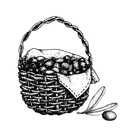 Basket with olives, fruits and leaves. Hand drawn doodle vector illustration. Design concept for cosmetic products, background, banner, label, template, iconのイラスト素材