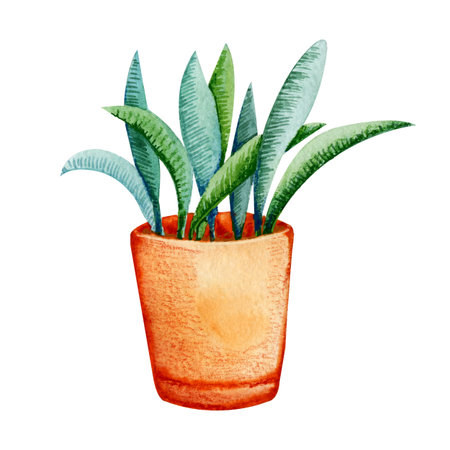 Potted flowers, green plant. Hand drawn watercolor illustration isolated on white background for design of postcard, cover, advertisement, store.の写真素材