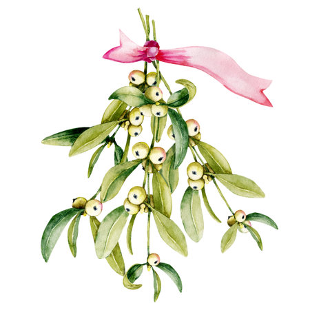 Christmas bouquet with sprigs of mistletoe and a red bow. Watercolor hand drawn illustration isolated on white background. Design of New Year and Christmas printed products, holiday cards.の写真素材