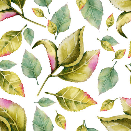 Seamless pattern with rose buds and leaves. Watercolor llustration on white background. For the design of shawl, handkerchief, weddings, dress, fabrics, wallpaper, pattern, digital paper, costume.の写真素材