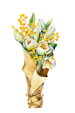 Bouquet of tulips and mimosa, spring flowers in a packaging paper. Hand drawn watercolor illustration close up isolated on white background. Design for cards, covers, invitations, Mothers Day.の写真素材