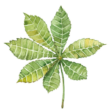 Chestnut leaf, watercolor illustration drawn on a white backgroundの写真素材