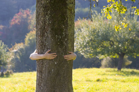 Woman embracing a tree in a meadow
