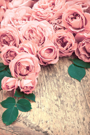Vibrant beautiful romantic elegant fresh peach flowerheads with leaves. Mother's Day Gift border design. Close-up detail top view with copy space for text on aged grunge beige wood plank surfaceの写真素材