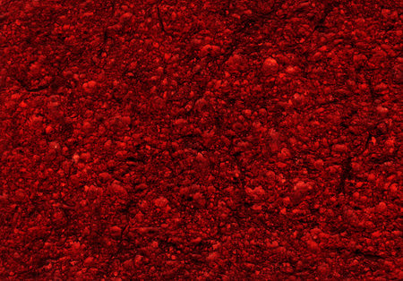 Dark scarlet color artificial synthetic cushion polyurethane scour swab wipe design for soft wet soak absorb water use or carwash scourer. Detail spongy closeup micro view and space for textの写真素材