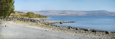 Large freshwater lake of Gennesaret in north Palestine on Gergesa land at autumn day. National golan landmark. Panoramic view from west littoral waterside and space for text on clear blue sky backdropの写真素材