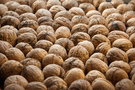 Many beautiful big tasty vitaminic bio diet Juglans regia whole scatter in their hard unshelled skins. Rustic natural grunge snack still life. Close-up view with space for text on brown backdropの写真素材