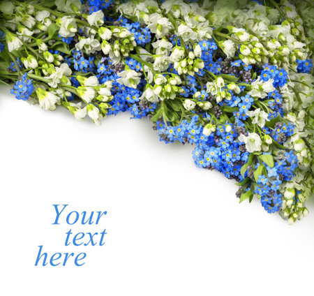 Beautiful garland of tiny springtime wildflower alpine garden: cute pale cobalt Boraginaceae, light clusters of Iberis isolated on white backdrop with clipping mask. View close-up with space for textの写真素材