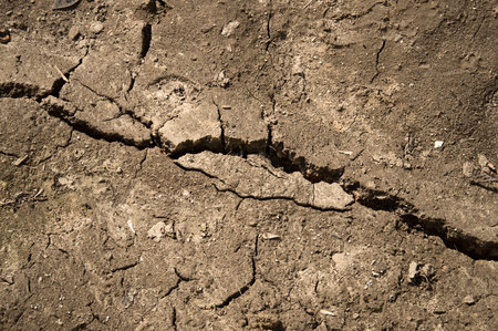 Large long rough black crackle rift effect in brown mud wasteland. Hit relief catastrophe problem. Detail close up macro view with space for text on beige fondの写真素材