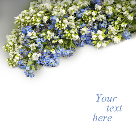 Beautiful garland of tiny springtime wildflower alpine garden: cute pale cobalt Boraginaceae, light clusters of Iberis isolated on white backdrop with clipping mask. View close-up with space for textの写真素材