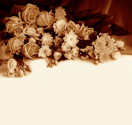 Beautiful large lush elegant fresh flowerheads with leaves isolated on light backdrop. Monochrome view close-up with space for textの写真素材