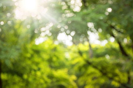 Mysterious mood purity art. Blinking bio vert lush plant glisten deep fond of vivid dense irish mint color lit by white day shine not in focus. Scenic view with space for text on soft spring copyspaceの写真素材