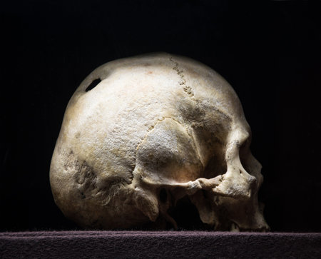 Big hollow in braincase isolated on dark backdrop. Gloomy rotten wreck child corpse. Terrible gray die pericranium. Closeup profile detail view with space for textの写真素材