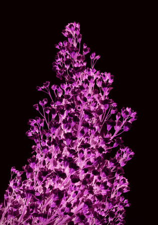Romantic picturesque beautiful garland with small nice mauve lavandin wildflowers bush isolated on dark black color backdrop. Closeup detail view with space for text on artistic abstract cardの写真素材