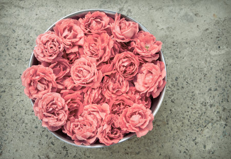 Bright romantic pure fresh crimson rosa flowerheads collected in steel bucket for drying for body spa salon skin care. Close up detail top view with copy space for text on grunge grey stone surfaceの写真素材
